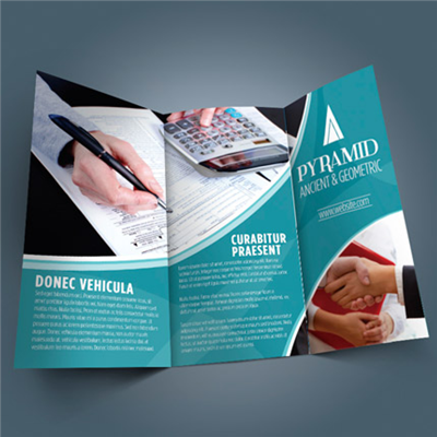 Standard & Bulk Run Brochures